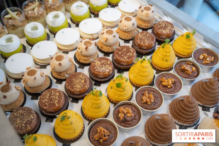 Photos : Les Bûches de Noël de Yann Menguy à la Goutte d'Or Pâtisserie 2020