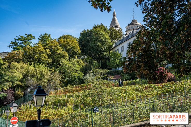 Montmartre Paris - fete des vendanges