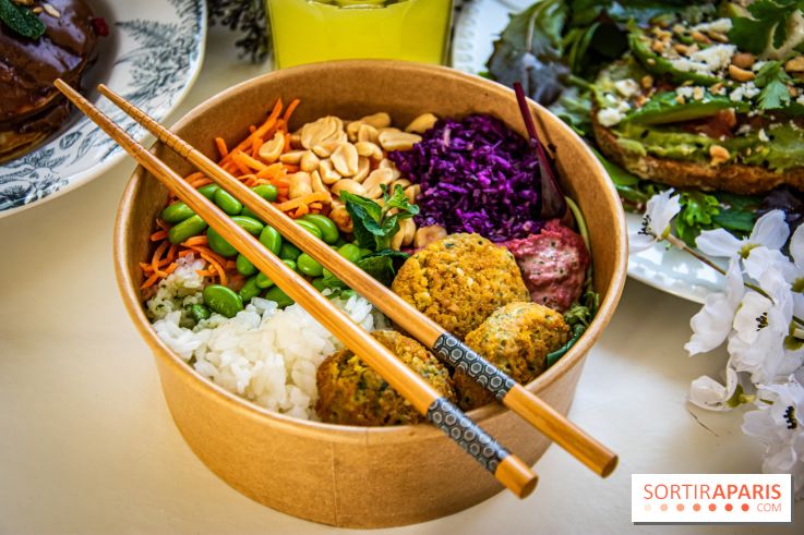 Fuumi nouvelle carte