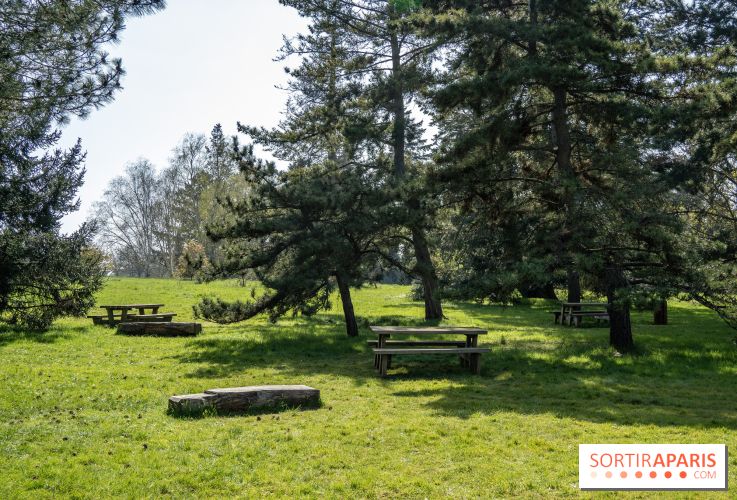 Les cerisiers et arbres en fleurs de l’Arboretum de Chevreloup