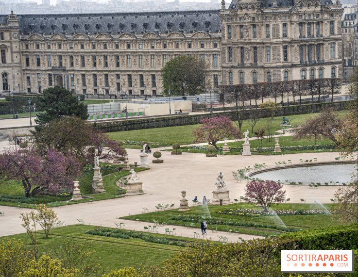 Cerisiers en fleurs à paris et aux alentours - Jardins des Tuileries