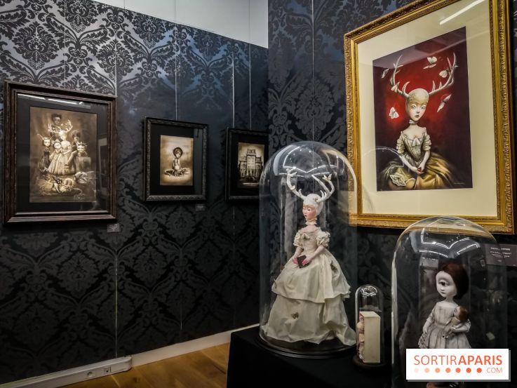 Shizen, l'expo gratuite de Benjamin Lacombe à la galerie Daniel Maghen - nos photos