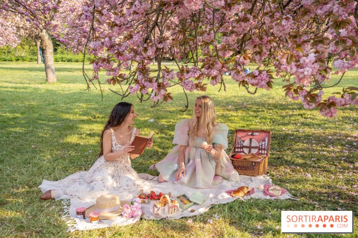 Le Parc de Sceaux et ses cerisiers en fleurs