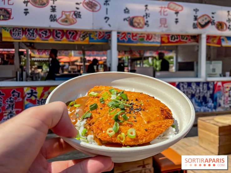 Hanami Paris, Ła terrasse éphémère du Trocadéro - IMG 4490