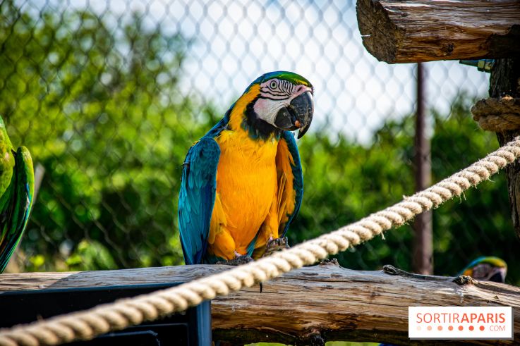 Parrot World, le parc animalier immersif d'Île-de-France