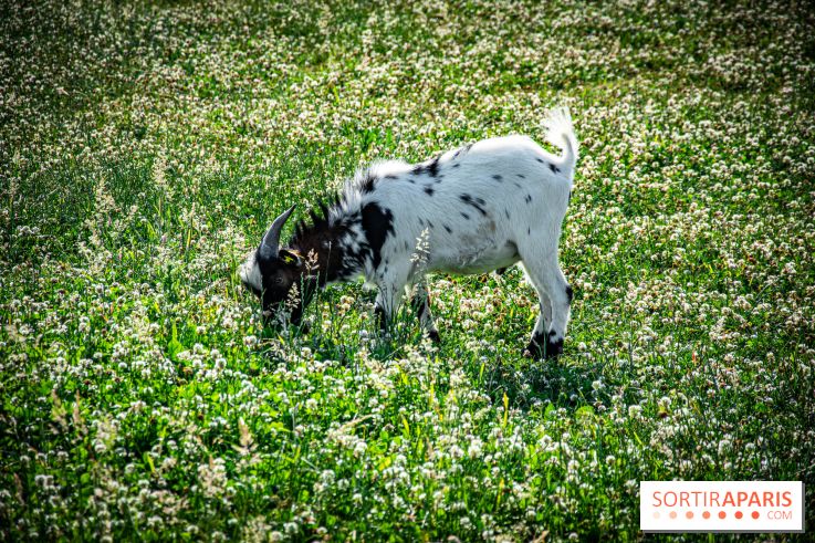 Parrot World, le parc animalier immersif d'Île-de-France