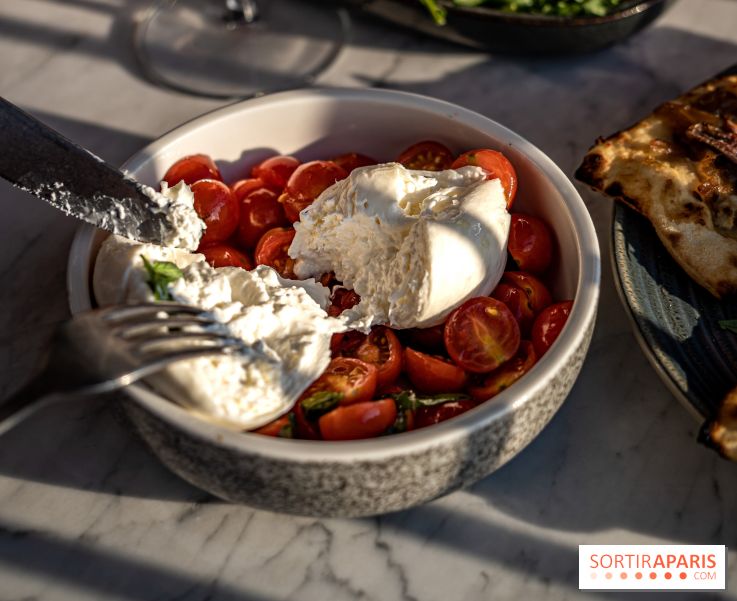 Les Piaules Nation, le rooftop