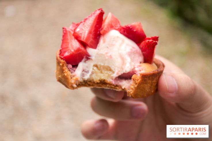 Les glaces des belles envies