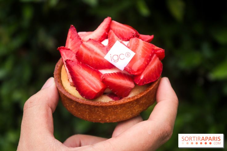 Les glaces des belles envies