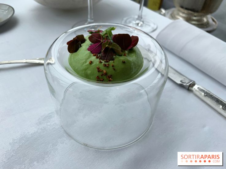 Oiseau Blanc Peninsula