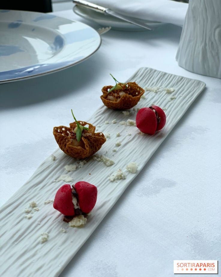 Oiseau Blanc Peninsula