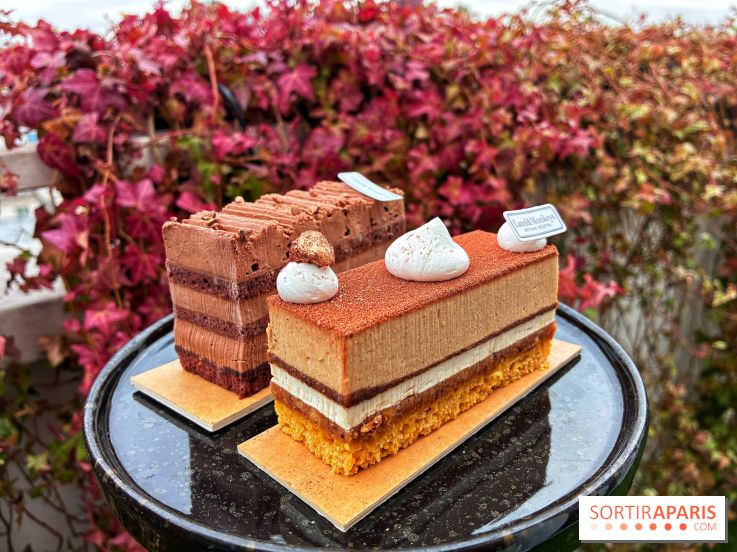 Bûches de Noël végétales 2024 de Land&Monkeys : trois délices vegan à partager