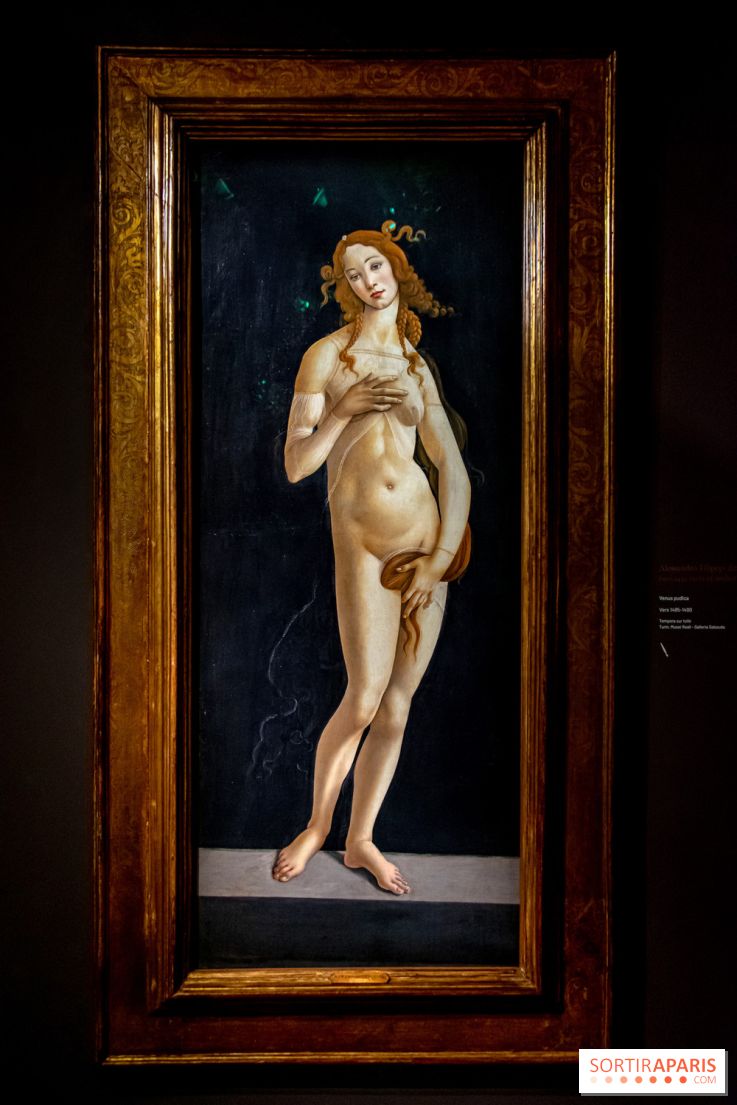 Botticelli, Artiste & Designer, l'exposition au Musée Jacquemart-André - nos photos