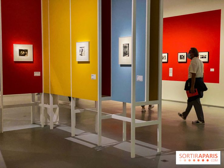 Les chefs-œuvre du MOMA au Jeu de Paume