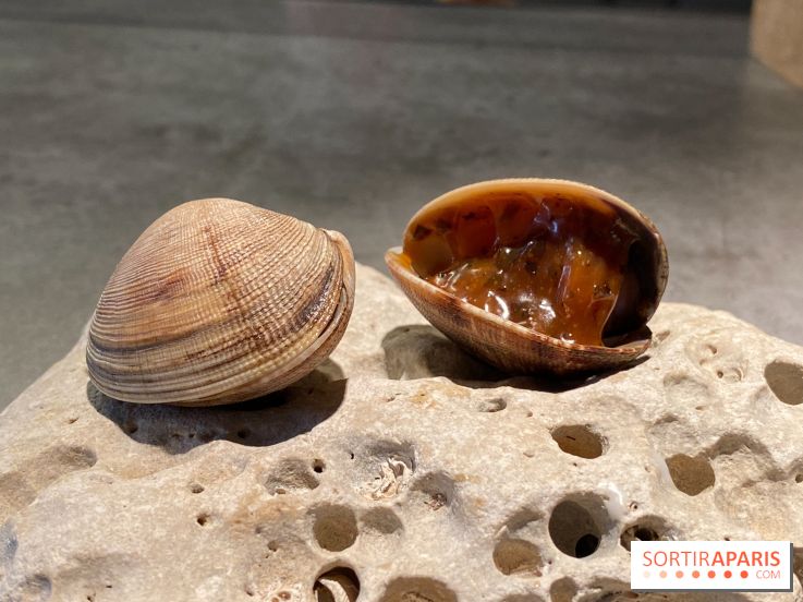 FIEF, le restaurant locavore du finaliste de Top Chef Victor Mercier