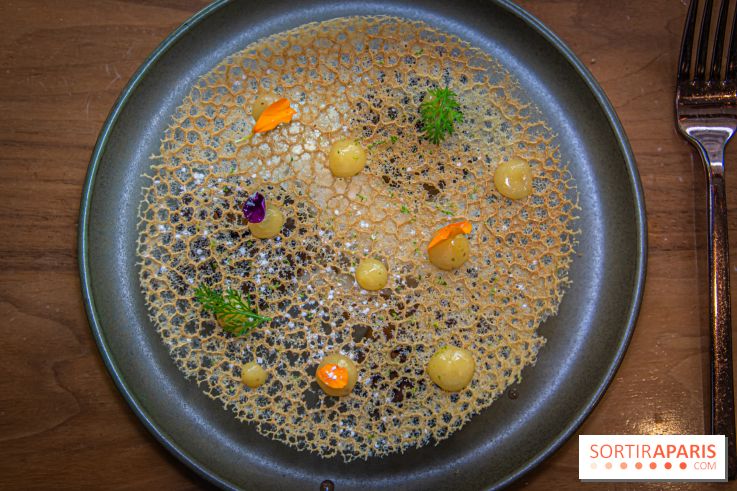 Christo s'invite chez Odette, chez Maison Albar, pour des plats en hommage à l'artiste