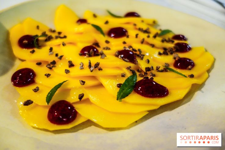 Tzantza à Paris, nos photos