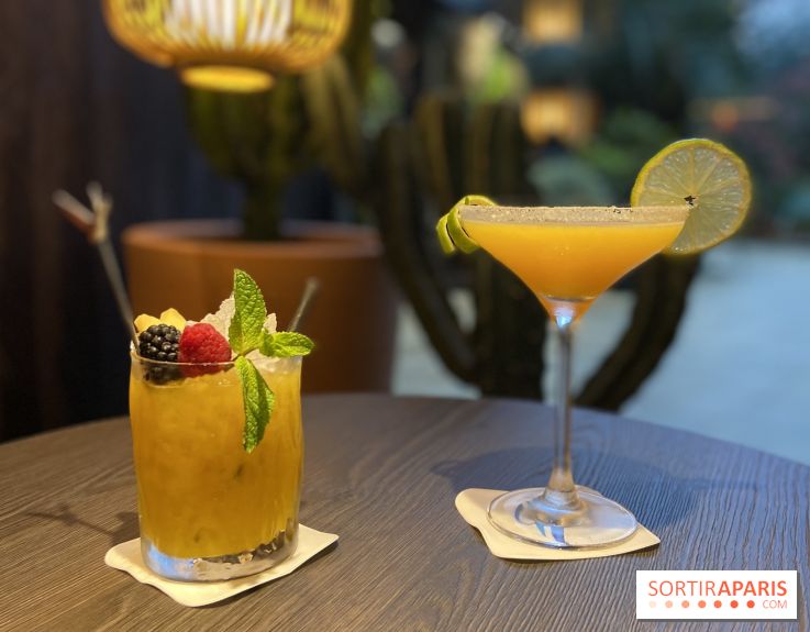 Oceania et sa terrasse en mode jardin méditerranéen à Paris