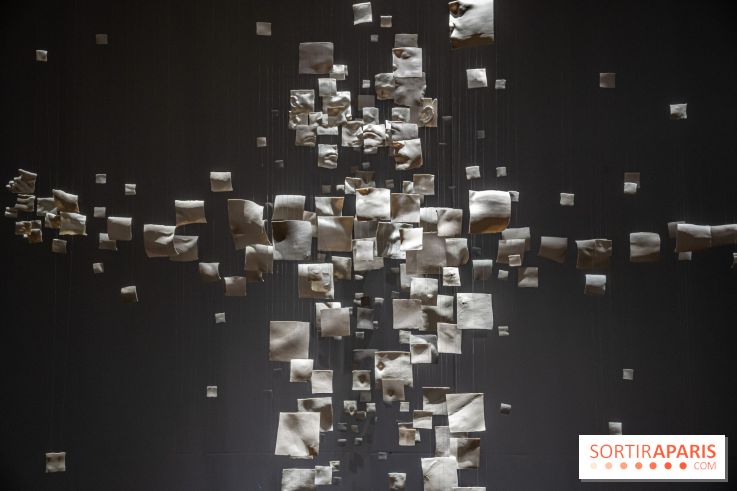 Exposition Aux frontières de l'humain au Musée de l'Homme