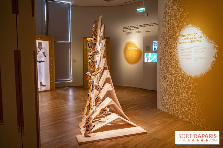 Exposition Aux frontières de l'humain au Musée de l'Homme