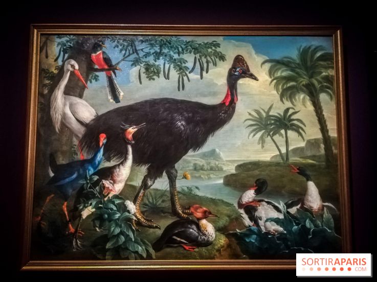 Les animaux du Roi, une exposition qui a du chien au Château de Versailles - nos photos