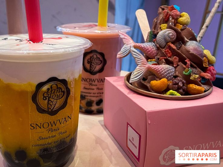 Snowvan, le spot aux bubble tea et glaces insolites