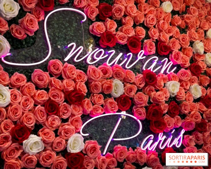 Snowvan, le spot aux bubble tea et glaces insolites