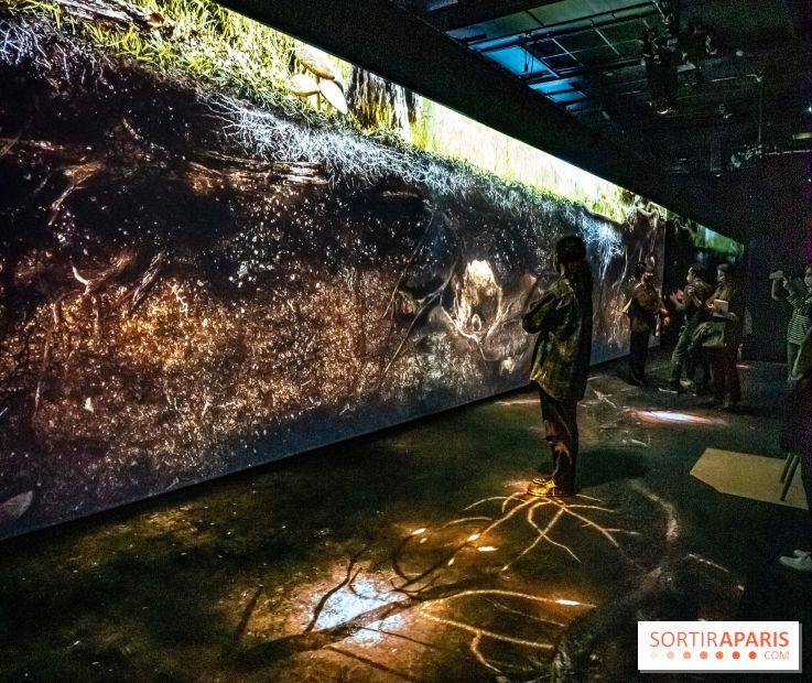 Photos : Odyssée sensorielle, l’expo immersive au Museum 