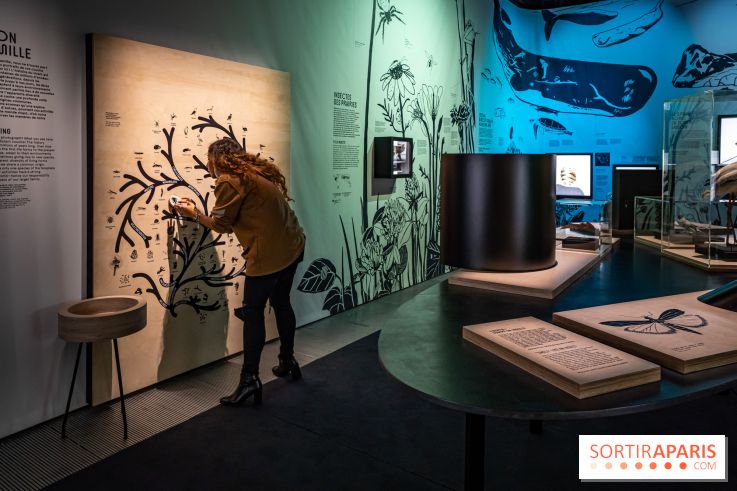 Photos : Odyssée sensorielle, l’expo immersive au Museum 