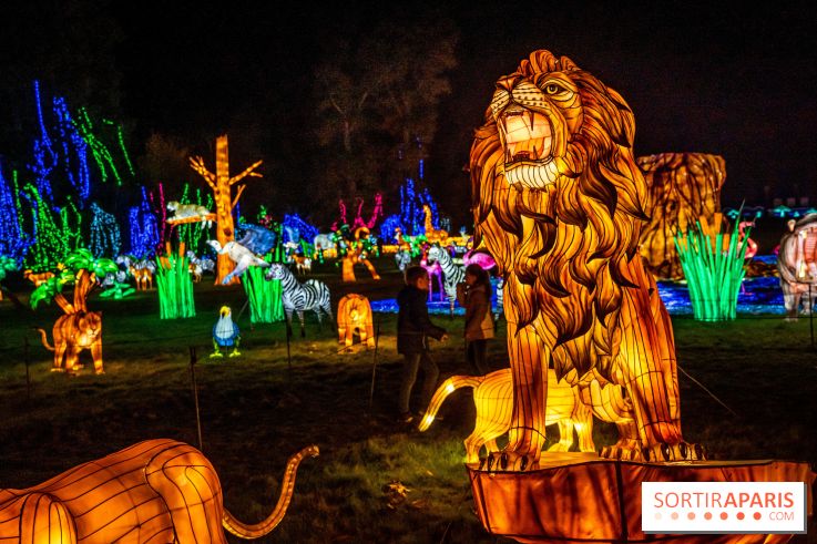 Thoiry Lumières Sauvages 2021-2022