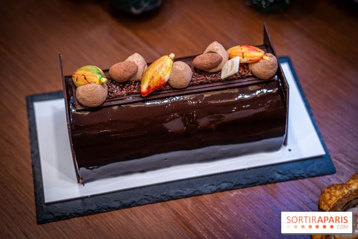 La Bûche de Noël de la Reine Astrid au mucilage