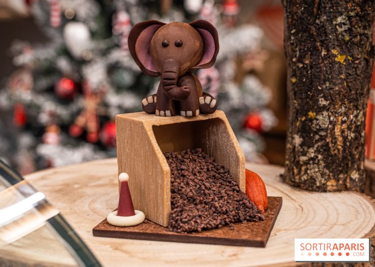 La Bûche de Noël de la Reine Astrid au mucilage