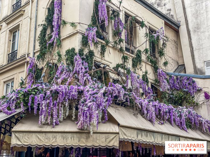 Les cafés fleuris de Paris