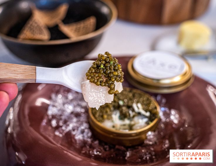 L'Axel, le restaurant étoilé de Fontainebleau, les photos