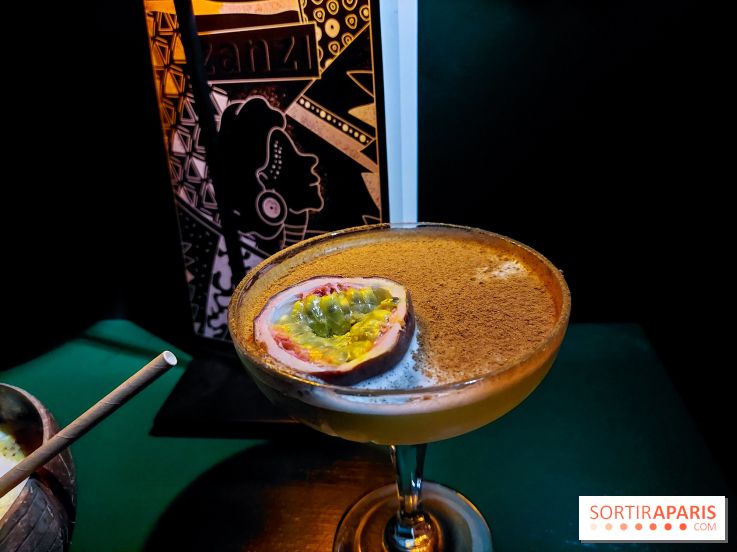 Zanzi : bar à cocktails à Paris, nos photos