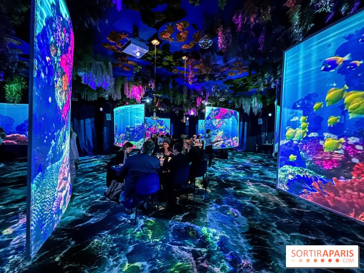 Ephemera, le premier restaurant immersif à Paris