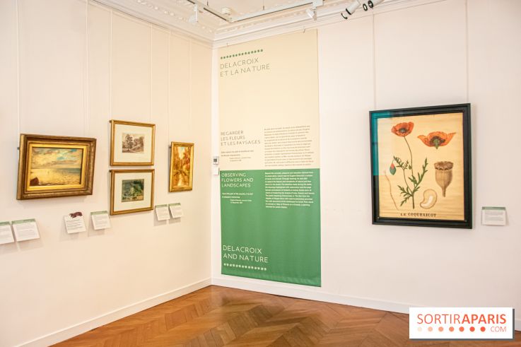 Delacroix et la nature, nos photos de l'exposition au musée Delacroix