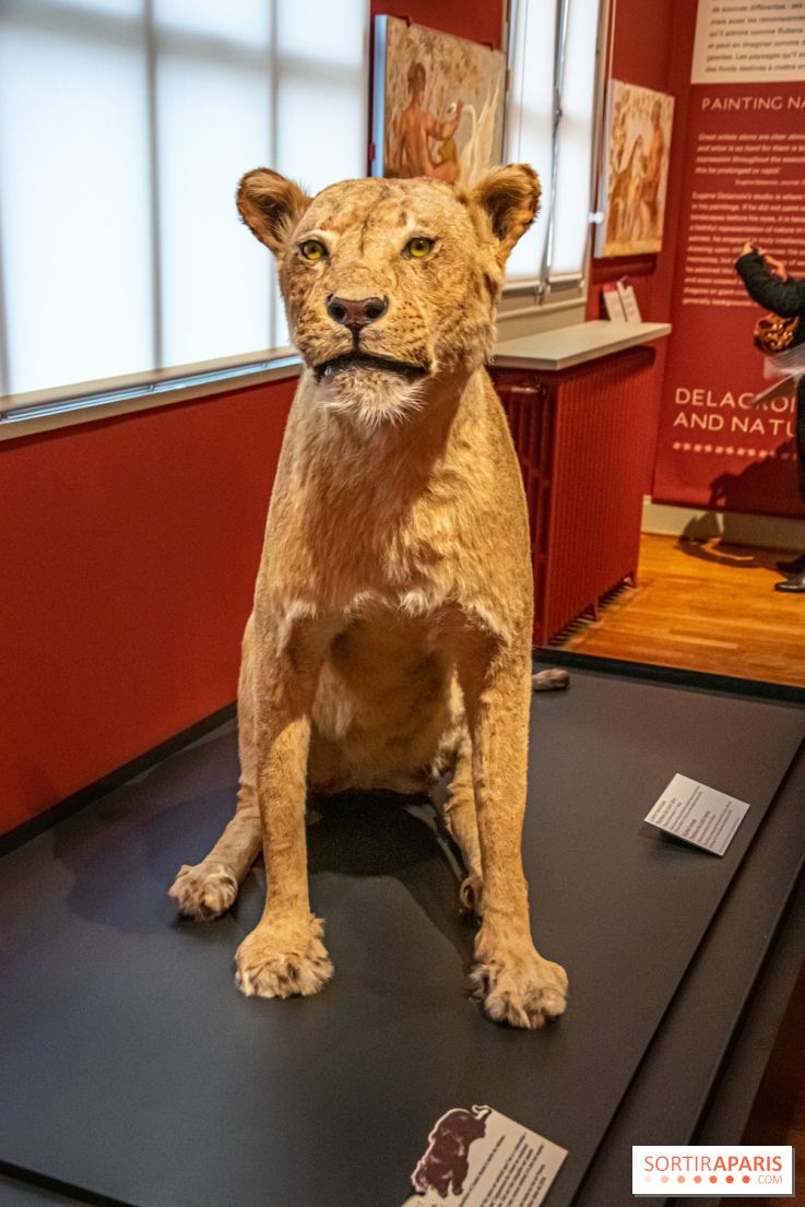 Delacroix et la nature, nos photos de l'exposition au musée Delacroix