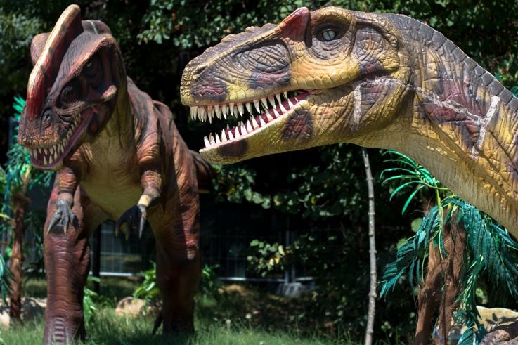 Partez à la découverte du monde extraordinaire des dinosaures chez Dino's World