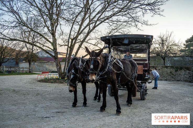 Le domaine du Chateau de Dampierre 