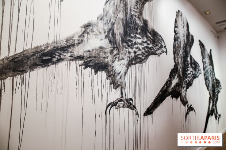 Incursions sauvages, nos photos