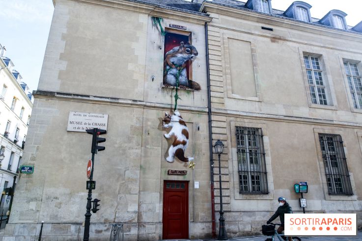 Incursions sauvages, nos photos