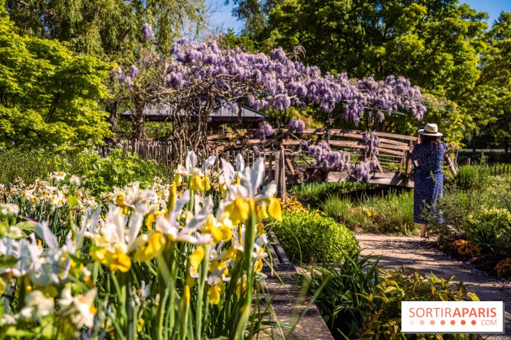 Photos : le Parc des Impressionnistes de Rueil-Malmaison