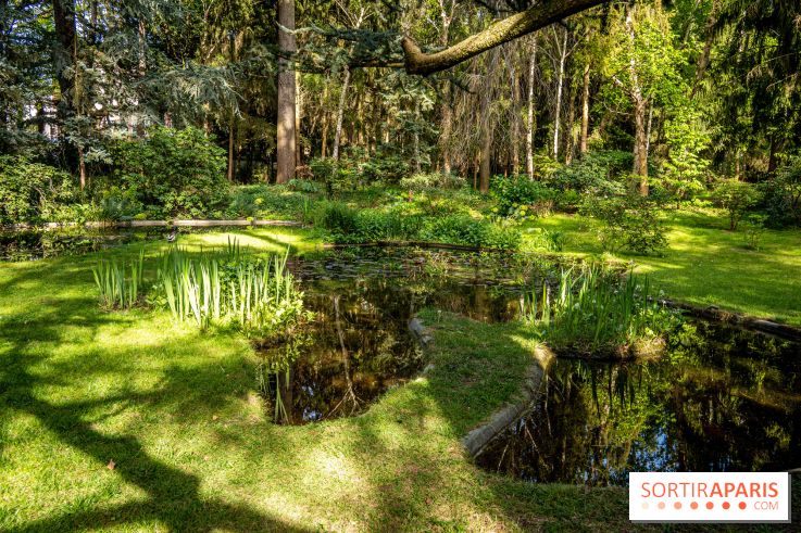 Les jardins du Musée Albert Kahn, nos photos 