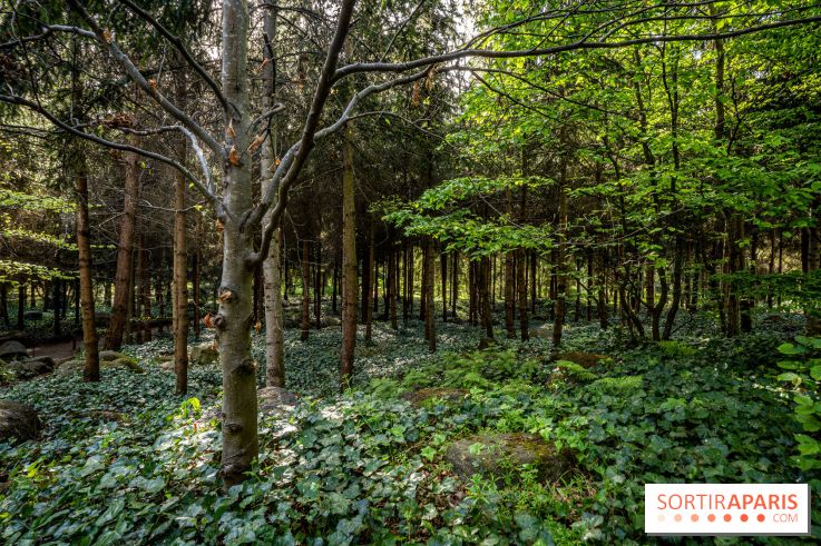 Les jardins du Musée Albert Kahn, nos photos 