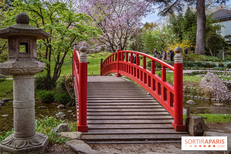 Les jardins du Musée Albert Kahn, nos photos  -  A7C9021