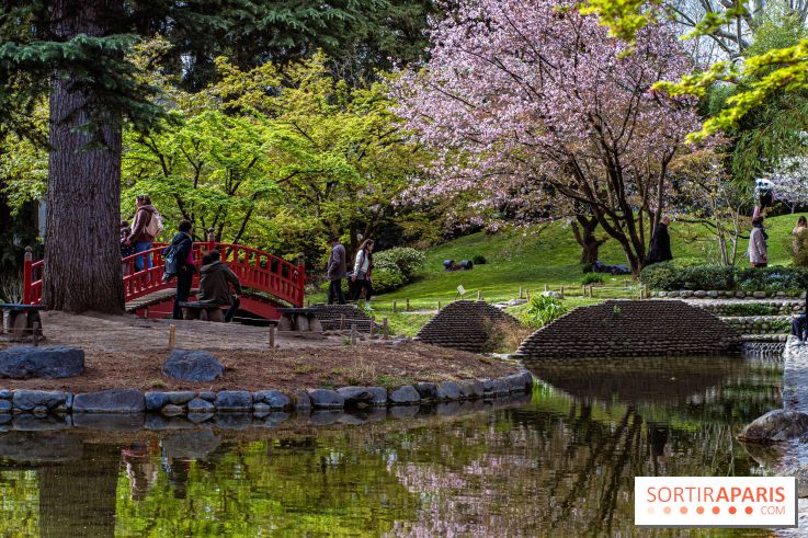 Les jardins du Musée Albert Kahn, nos photos
