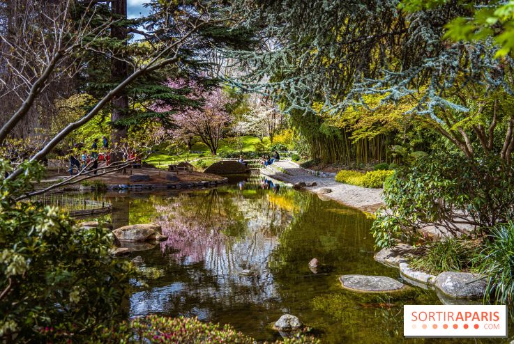 Les jardins du Musée Albert Kahn, nos photos