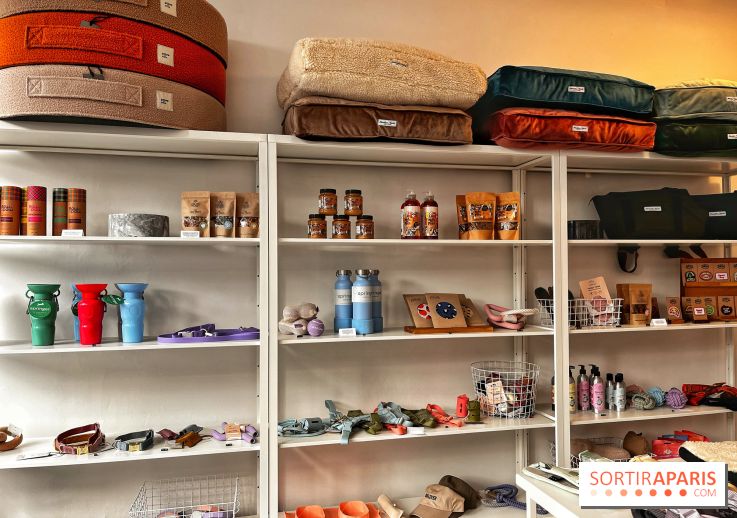 Barkers+Brothers, le concept store canin pour chouchouter son chien à Montmartre