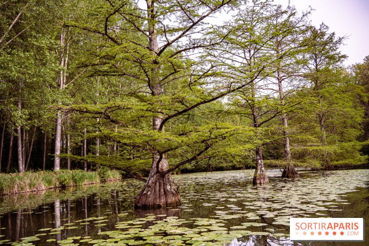 Photos : Château de Cheverny